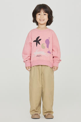 jnby  23年秋款  圆领套头卫衣  1N8410700