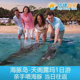 布里斯班天阁露玛 海豚岛亲手喂海豚+浮潜体验一日游