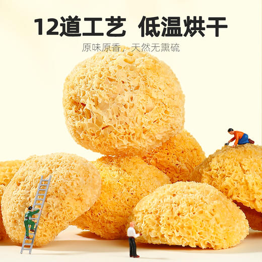 【杞里香银耳】新货大朵白木耳雪耳糯耳丑耳 福建古田银耳干货238g可搭配银耳莲子 商品图7