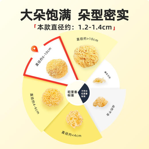 【杞里香银耳】新货大朵白木耳雪耳糯耳丑耳 福建古田银耳干货238g可搭配银耳莲子 商品图3