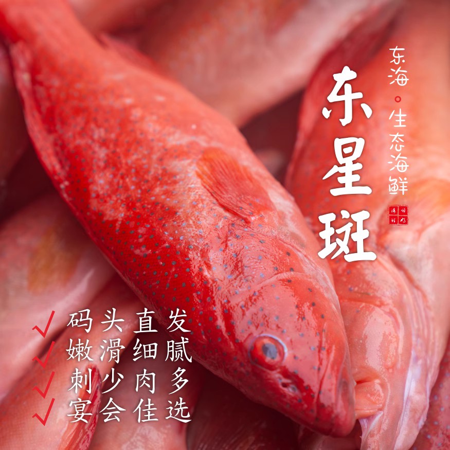 【闹妈海鲜】舟山东海鲜冻生态东星斑各种规格 按条卖