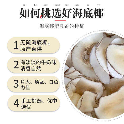 【海底椰干片】无硫海底椰 煲汤佳品·零添加 甄选食材 商品图2