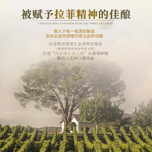 【拉菲官网力荐作品】拉菲·雾禾山谷霞多丽白葡萄酒 朗格多克·雾禾山谷 13%vol 商品图10