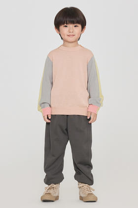 jnby  23年秋款  柔软百搭长袖套头毛衫  1N8311190