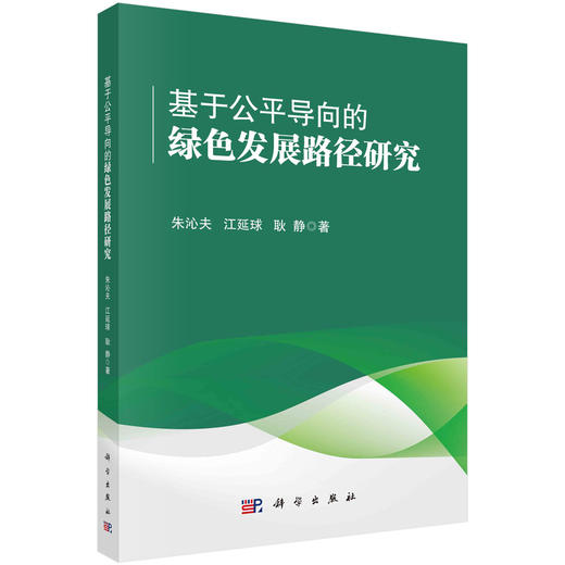 基于公平导向的绿色发展路径研究 商品图0