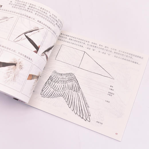 工笔入门教程 大字大图版 商品图2