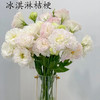 【佳海花业】洋桔梗  冰淇淋   800g/扎  颜色深浅略有差异 以实物为准 云南基地发货（价格已包含包装费用） 运费以实际为准，多退少补。 商品缩略图0
