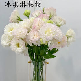 【佳海花业】洋桔梗  冰淇淋   800g/扎  颜色深浅略有差异 以实物为准 云南基地发货（价格已包含包装费用） 运费以实际为准，多退少补。