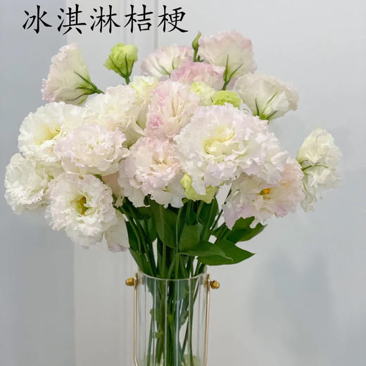 【佳海花业】洋桔梗  冰淇淋   800g/扎  颜色深浅略有差异 以实物为准 云南基地发货（价格已包含包装费用） 运费以实际为准，多退少补。 商品图0