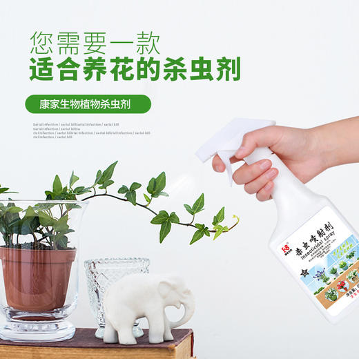 【家用花卉植物杀虫剂】蚜虫介壳月季多肉除虫剂 不伤花杀虫剂喷雾 不伤植物无异味安全有效 商品图3