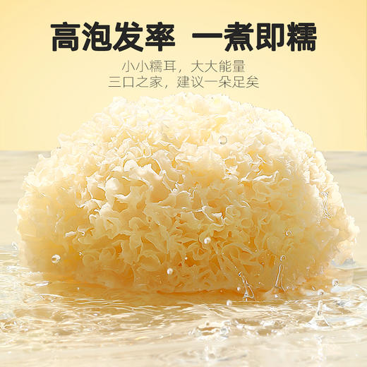 【杞里香银耳】新货大朵白木耳雪耳糯耳丑耳 福建古田银耳干货238g可搭配银耳莲子 商品图5
