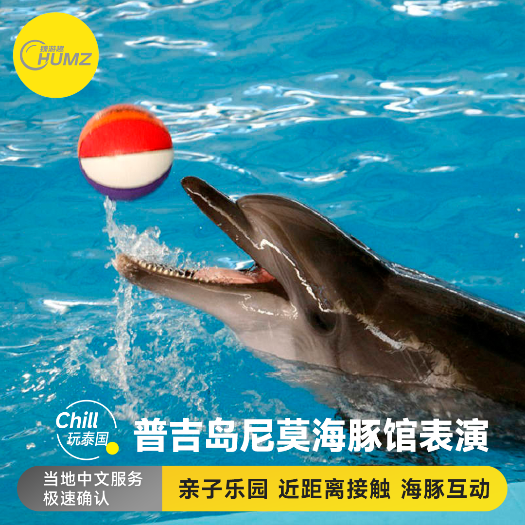 【尼莫海豚馆表演秀】泰国普吉岛 亲子游 亲子乐园 泰国旅游