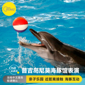 【尼莫海豚馆表演秀】泰国普吉岛 亲子游 亲子乐园 泰国旅游