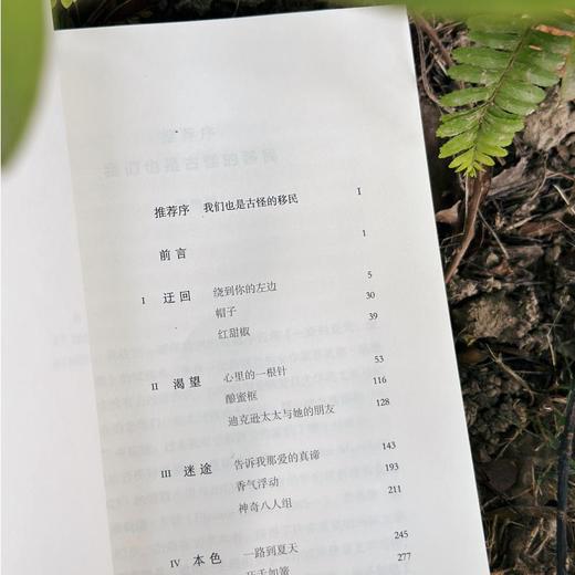 一路到夏天：爱与渴望之歌 商品图3