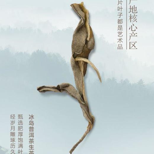 小罐茶君子系列冰岛普洱马头岩肉桂白毫银针组合装/112克 商品图1