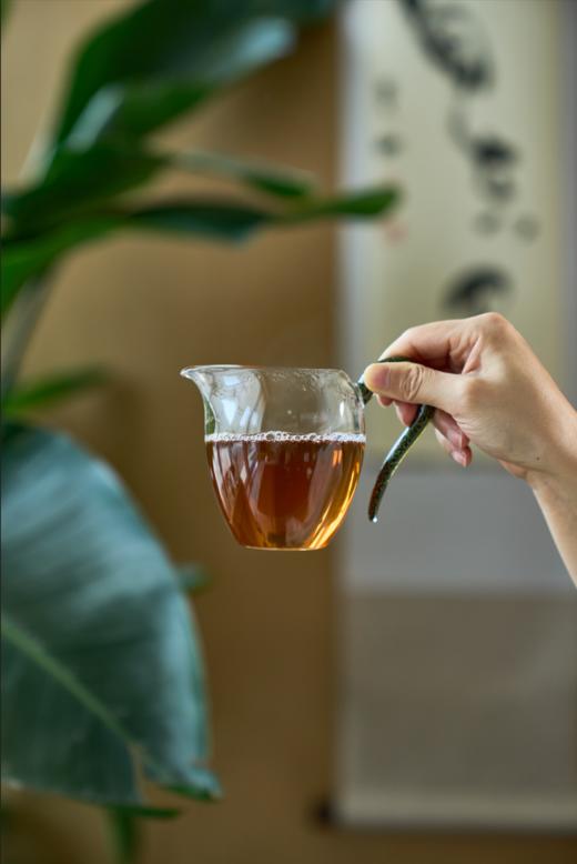 正岩广陵亭肉桂 商品图2