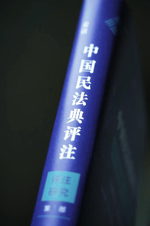 《中国民法典评注 · 评注研究（第1部）——法律评注 : 国际视角的比较》丨赠讲座 商品图8