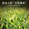 小罐茶银10罐铁观音（清香）/40克 商品缩略图3