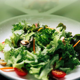 Healthy Nutrition for the Whole Family Mindful Eating Journey