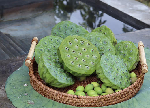 2025新莲上市【江西广昌手工白莲子】地标性非遗传统手工制作  可生吃 无硫熏  冷水炖煮粉糯清香 入口即化 回归到农家本味 商品图13