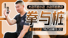 【7月25号】拳与桩