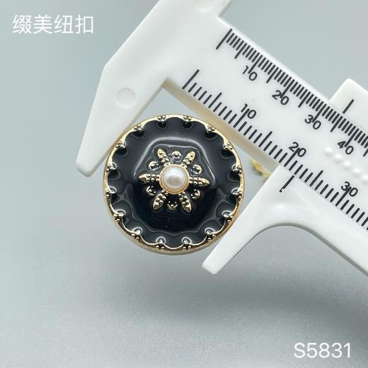 S5831(整包购买) 商品图2