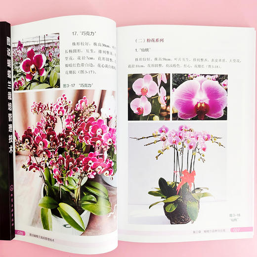 图说蝴蝶兰栽培管理技术 商品图4