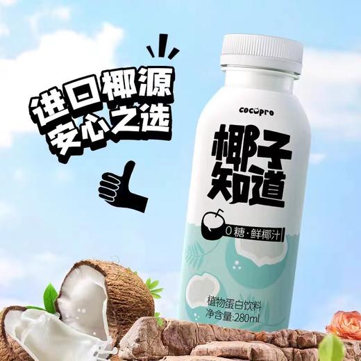 椰子知道0糖鲜椰汁280ml*15 商品图0