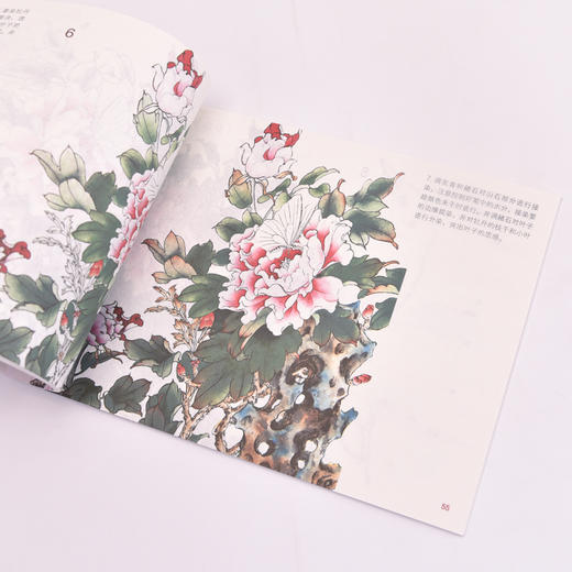 工笔入门教程 大字大图版 商品图3