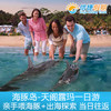 布里斯班天阁露玛 海豚岛亲手喂海豚+出海探索一日游 商品缩略图0