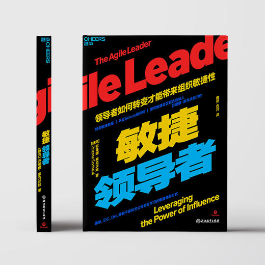 敏捷领dao者 商品图0