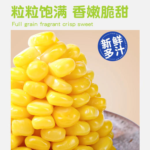 轻食免煮控卡玉米粒鸡肉干豆皮肉卷谷物棒欧包代餐礼包 商品图3