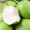 新鲜水果 陕西早酥梨4斤 商品缩略图3
