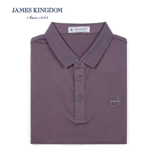 占姆士男士休闲翻领棉质短袖POLO衫  蓝色&绿色&紫色 商品图1