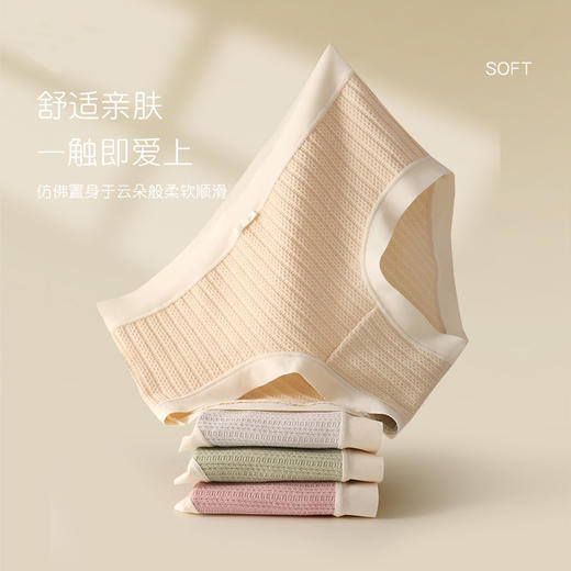 【花边女内裤】花边少女精梳内裤女士中腰舒适全棉中腰裆三角裤白边 商品图5