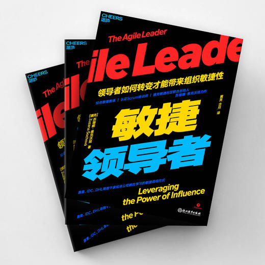 敏捷领dao者 商品图1