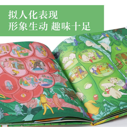 蔬菜水果的秘密 阿格涅兹卡·索温斯卡 著 儿童绘本 商品图1