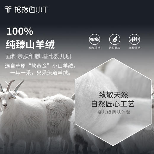 拇指白小T头采羊绒轻奢圆领T恤 商品图2