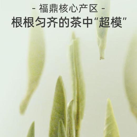 小罐茶金罐白毫银针20罐装/80克 商品图3