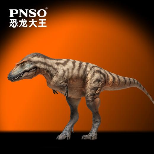 PNSO蛇发女怪龙特里斯坦恐龙大王成长陪伴模型71 商品图4
