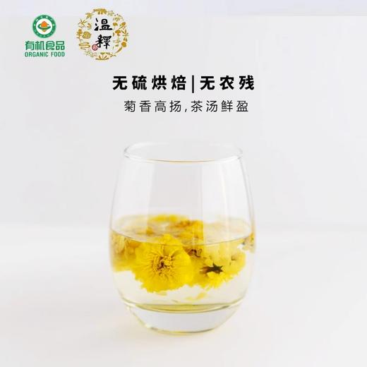 温释有机怀菊花 温释无农残无硫河南焦作特产茶饮云台冰菊黄菊花 商品图3