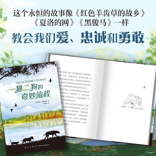 一猫二狗的奇妙旅程 7-10岁 希拉·伯恩福德 著 儿童文学 商品图1