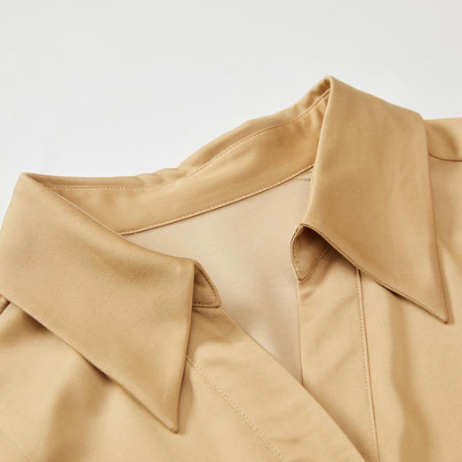 谜底通勤连衣裙2023秋季新款复古收腰中长裙长袖配腰带233ML1145 商品图3