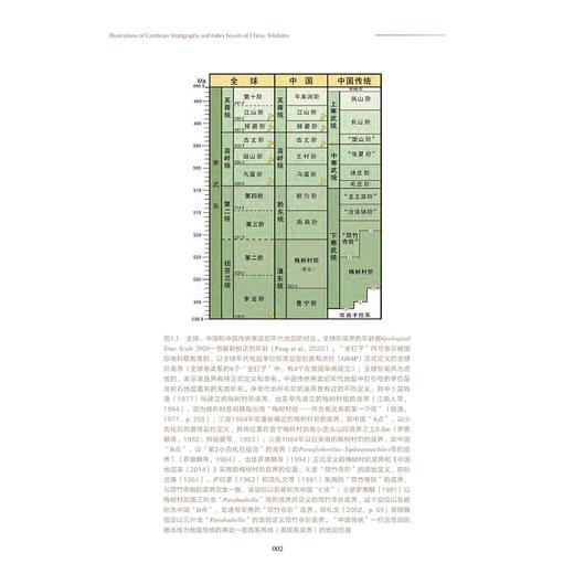 【全6册】中国古生代地层及标志化石图集系列 商品图4