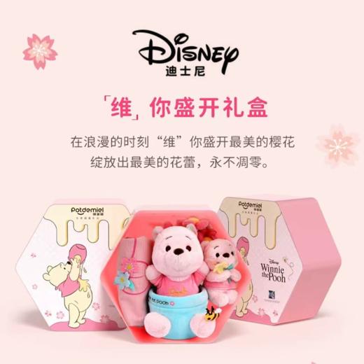 迪士尼正版噗噗维尼熊公仔草莓熊毕业生日礼物送闺蜜女情人节礼盒 商品图1