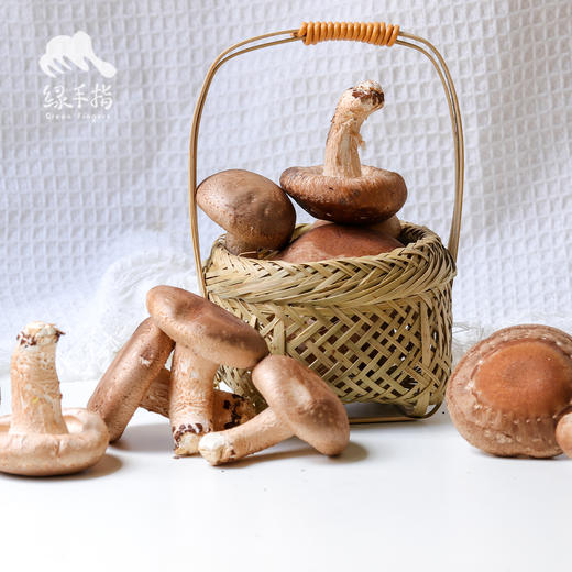 生态蘑菇份额 | 绿家自产* Share of ecological miscellaneous Mushroom | In-House Production 商品图5