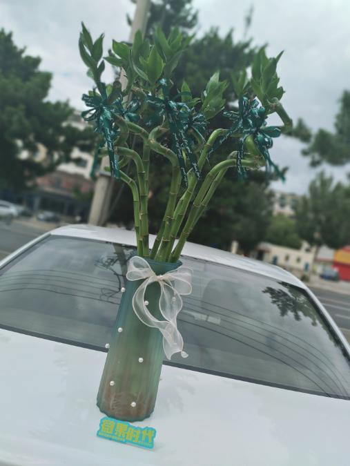 转运竹一瓶 商品图3