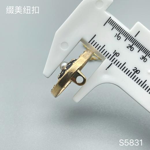 S5831(整包购买) 商品图3