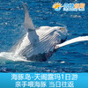 布里斯班天阁露玛 海豚岛亲手喂海豚+浮潜体验一日游 商品缩略图2