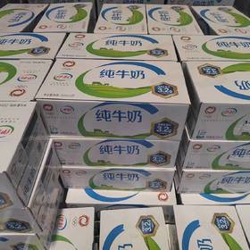 伊利纯牛奶250ml*20